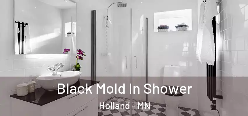 Black Mold In Shower Holland - MN