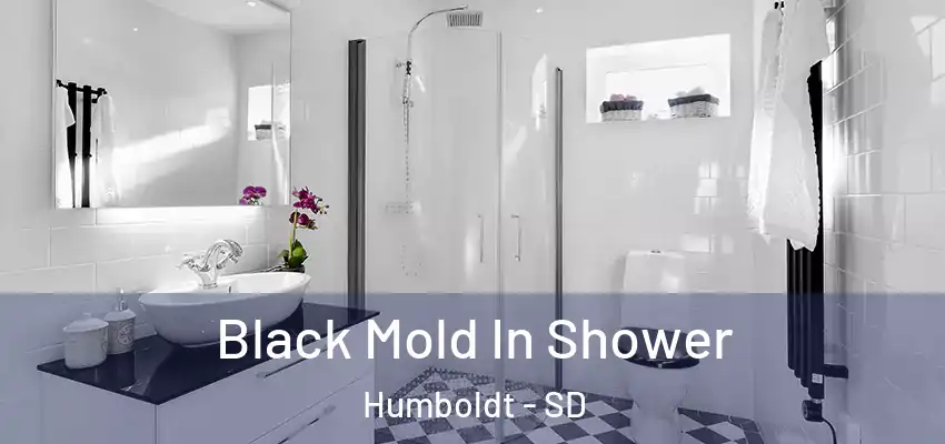 Black Mold In Shower Humboldt - SD