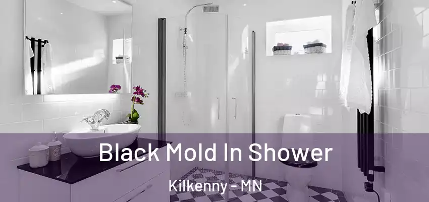 Black Mold In Shower Kilkenny - MN