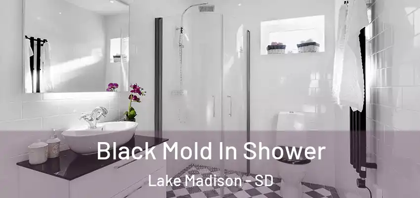 Black Mold In Shower Lake Madison - SD