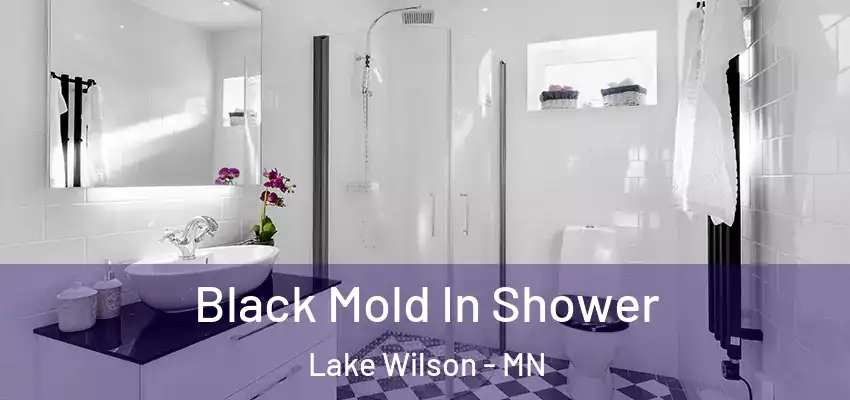  Black Mold In Shower Lake Wilson - MN