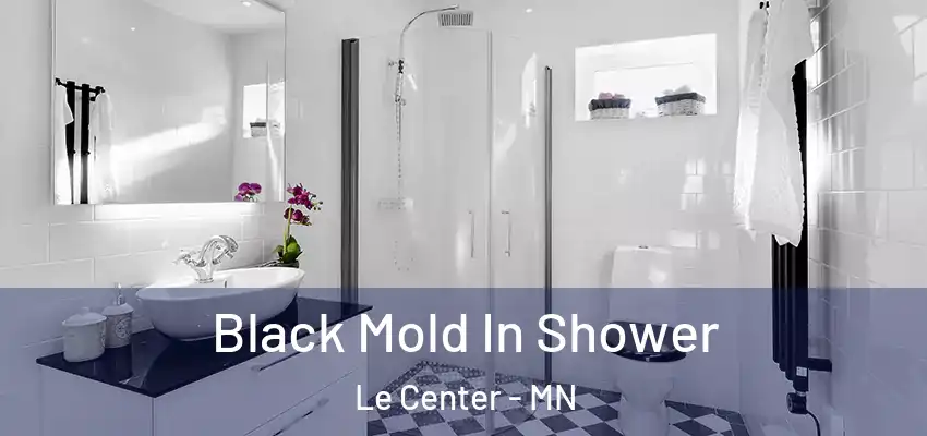  Black Mold In Shower Le Center - MN