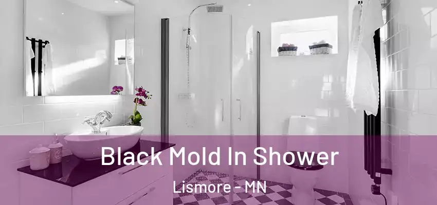  Black Mold In Shower Lismore - MN
