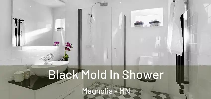  Black Mold In Shower Magnolia - MN