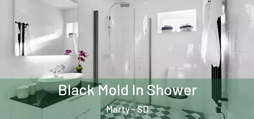 Black Mold In Shower Marty - SD