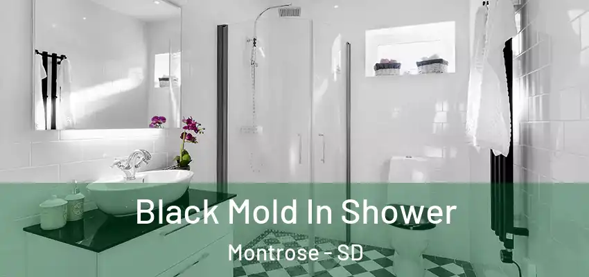  Black Mold In Shower Montrose - SD
