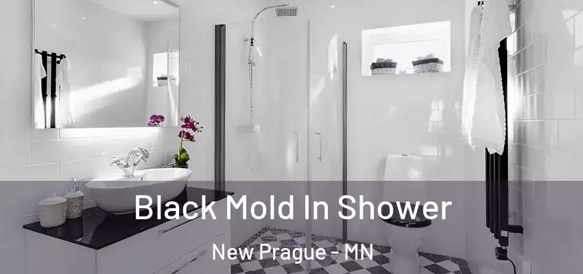Black Mold In Shower New Prague - MN