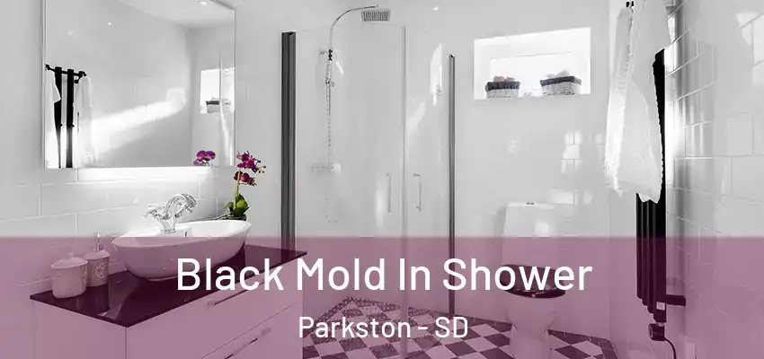 Black Mold In Shower Parkston - SD