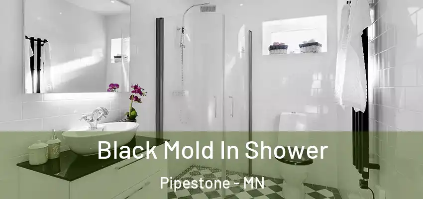  Black Mold In Shower Pipestone - MN