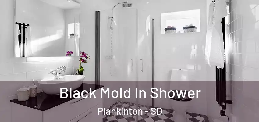  Black Mold In Shower Plankinton - SD