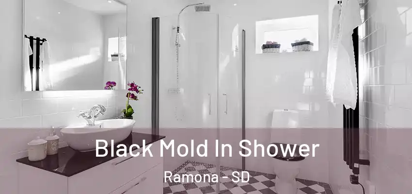 Black Mold In Shower Ramona - SD