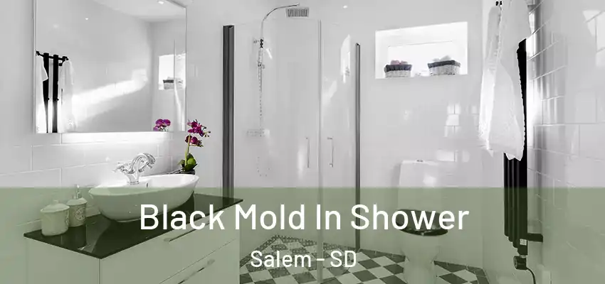 Black Mold In Shower Salem - SD