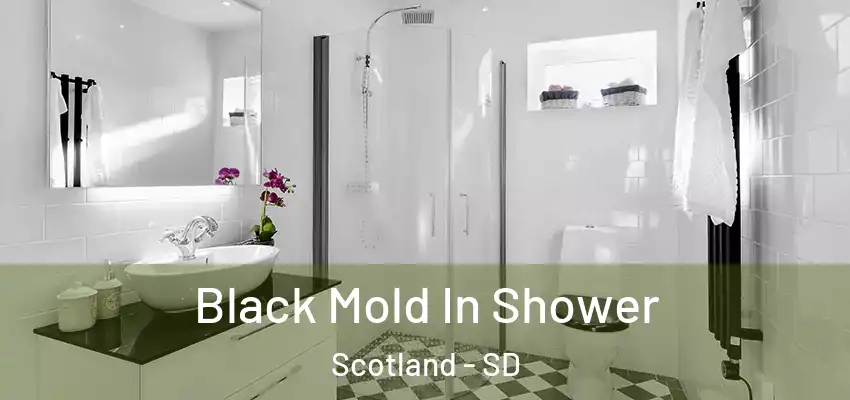  Black Mold In Shower Scotland - SD