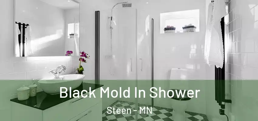  Black Mold In Shower Steen - MN