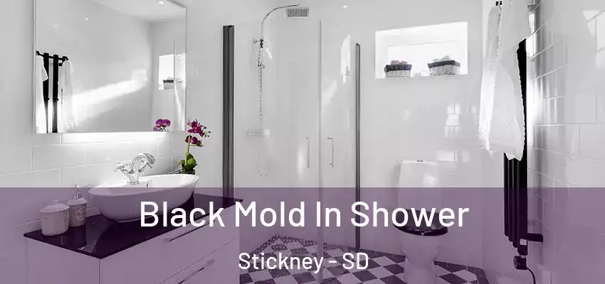  Black Mold In Shower Stickney - SD
