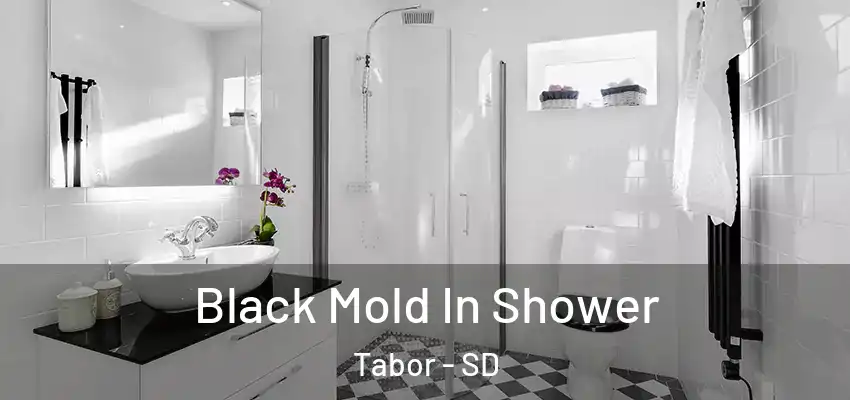 Black Mold In Shower Tabor - SD
