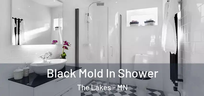 Black Mold In Shower The Lakes - MN