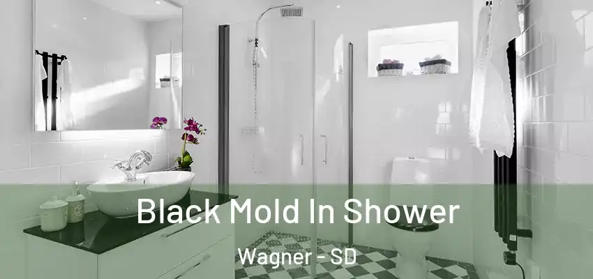  Black Mold In Shower Wagner - SD