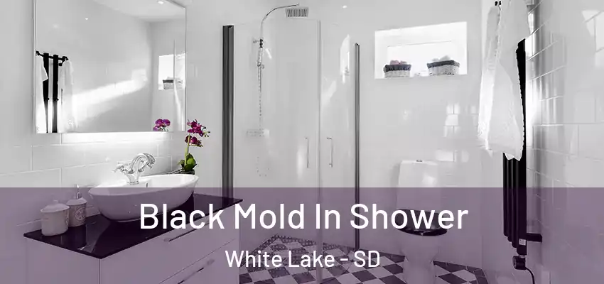  Black Mold In Shower White Lake - SD