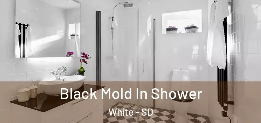 Black Mold In Shower White - SD