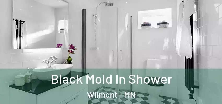  Black Mold In Shower Wilmont - MN