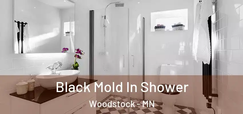 Black Mold In Shower Woodstock - MN