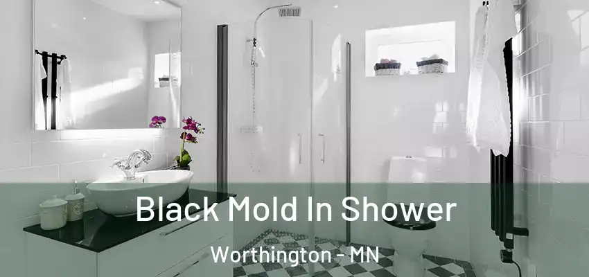 Black Mold In Shower Worthington - MN