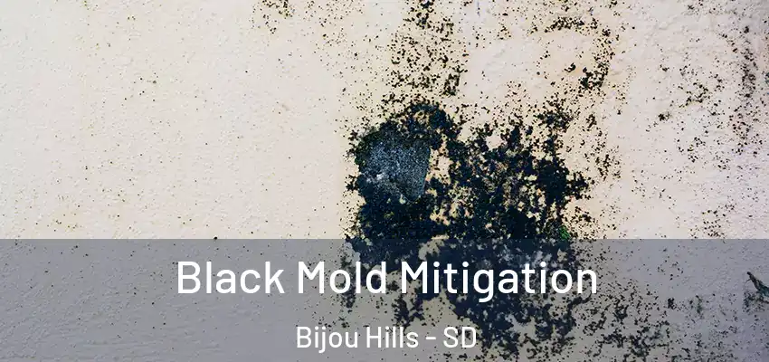  Black Mold Mitigation Bijou Hills - SD