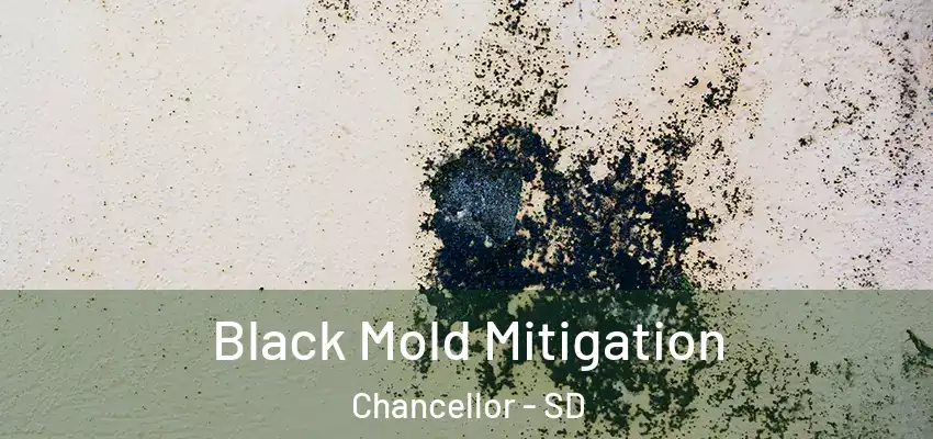  Black Mold Mitigation Chancellor - SD