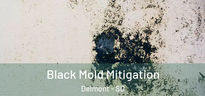  Black Mold Mitigation Delmont - SD