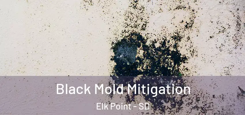  Black Mold Mitigation Elk Point - SD