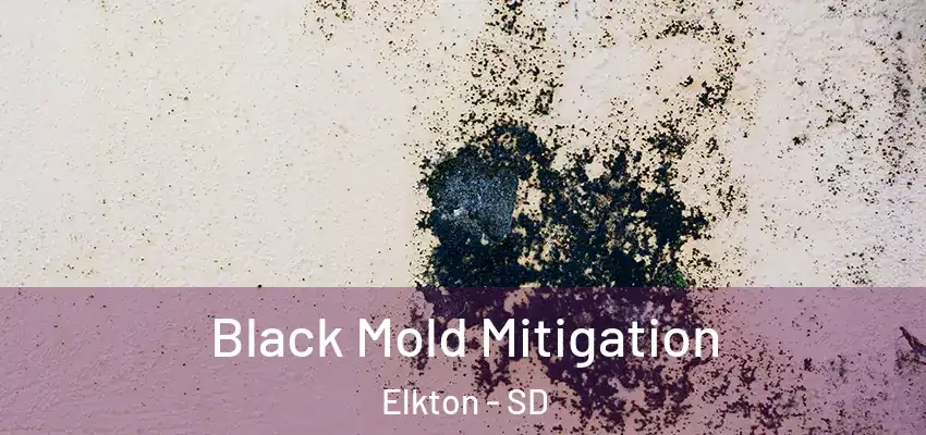  Black Mold Mitigation Elkton - SD