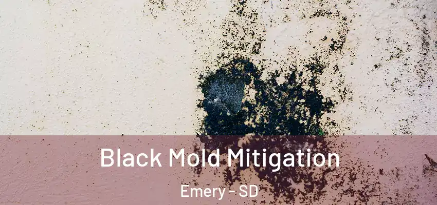 Black Mold Mitigation Emery - SD