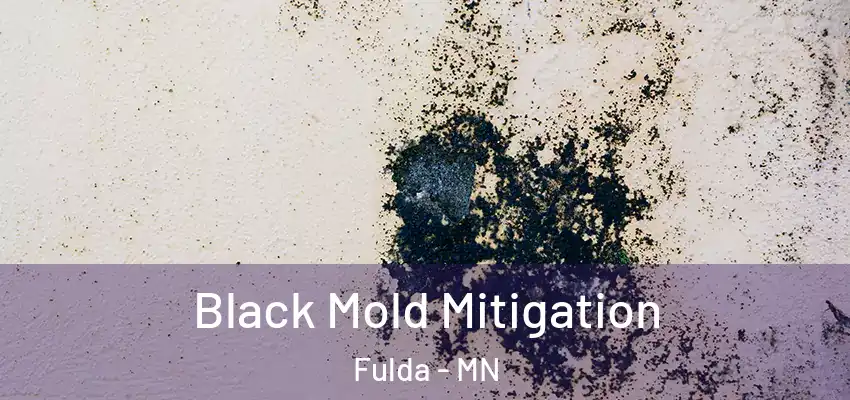 Black Mold Mitigation Fulda - MN