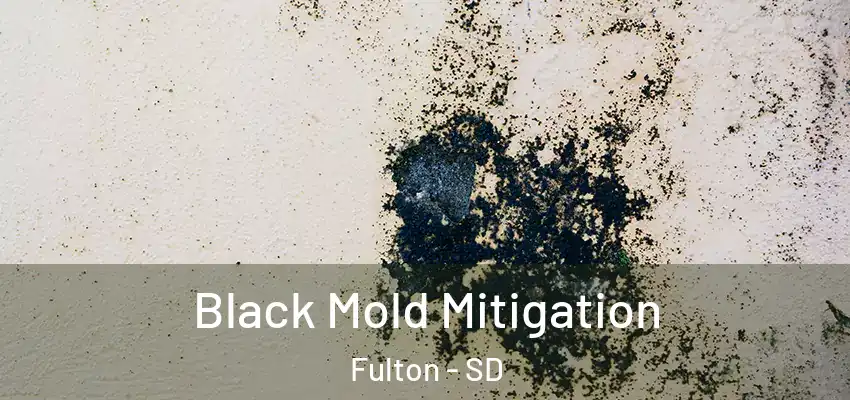 Black Mold Mitigation Fulton - SD