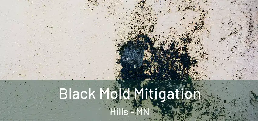 Black Mold Mitigation Hills - MN