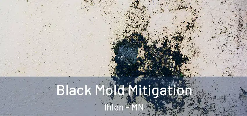 Black Mold Mitigation Ihlen - MN