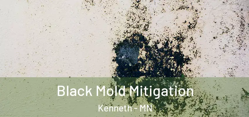 Black Mold Mitigation Kenneth - MN