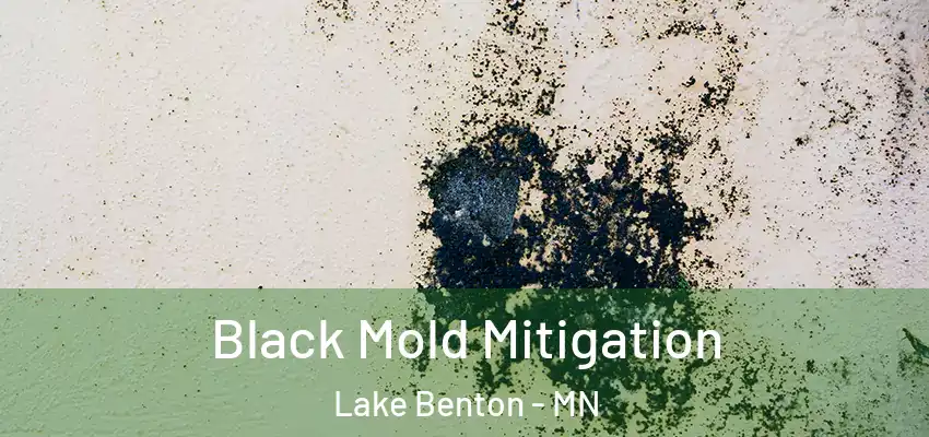  Black Mold Mitigation Lake Benton - MN