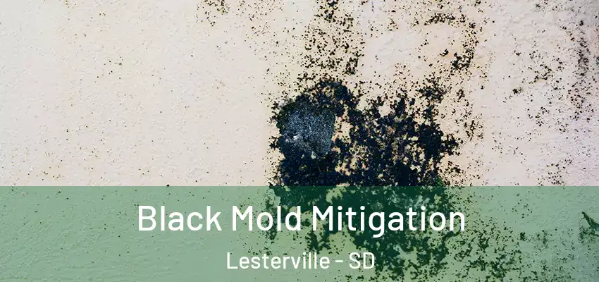 Black Mold Mitigation Lesterville - SD