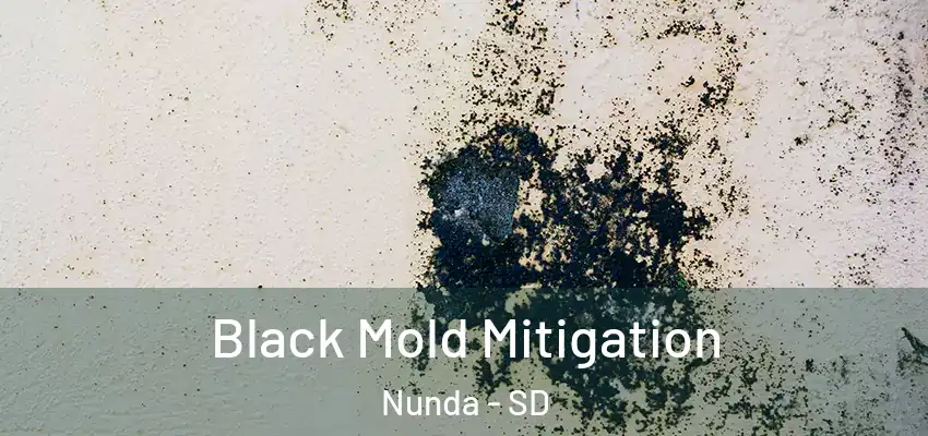  Black Mold Mitigation Nunda - SD
