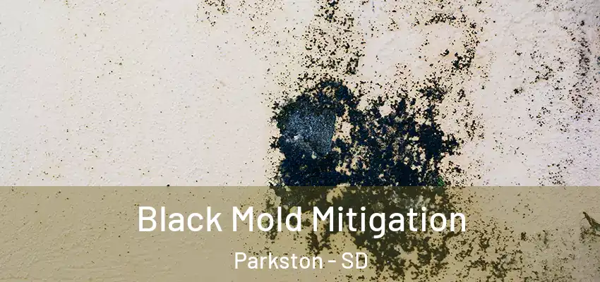  Black Mold Mitigation Parkston - SD