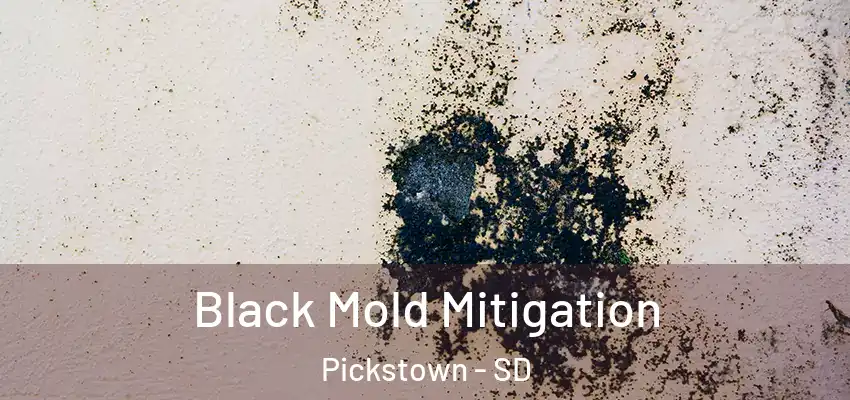  Black Mold Mitigation Pickstown - SD