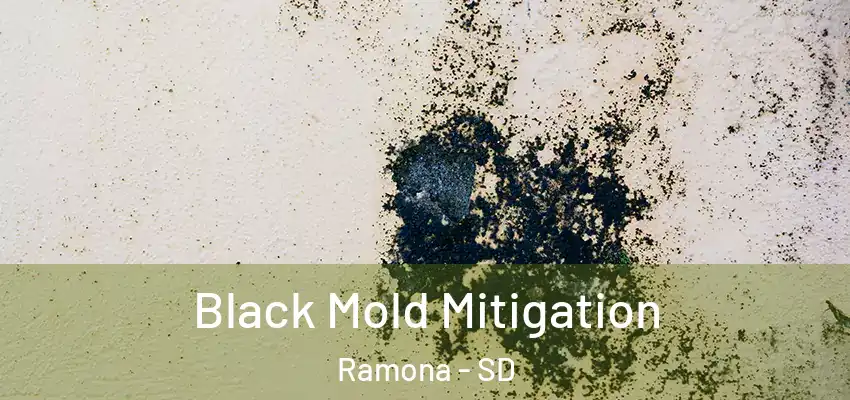 Black Mold Mitigation Ramona - SD