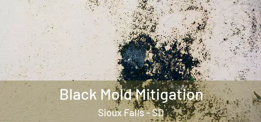  Black Mold Mitigation Sioux Falls - SD