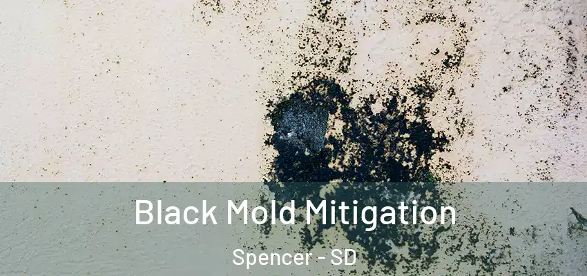  Black Mold Mitigation Spencer - SD