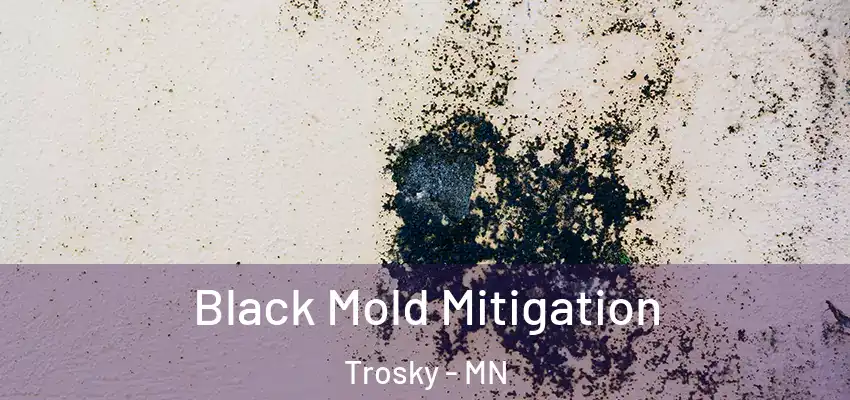 Black Mold Mitigation Trosky - MN