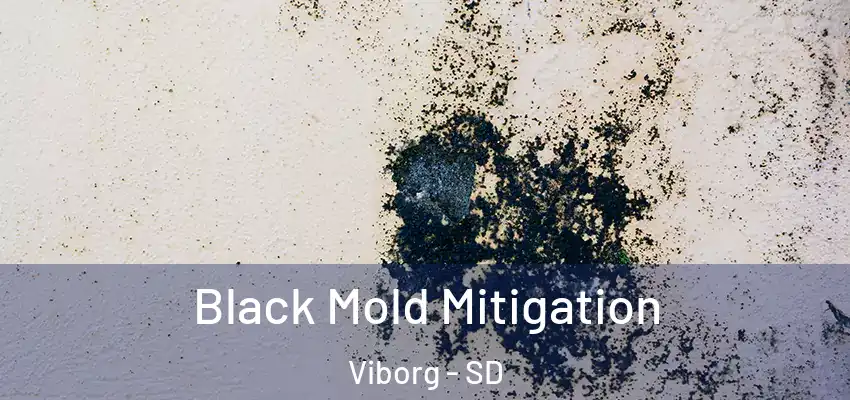 Black Mold Mitigation Viborg - SD