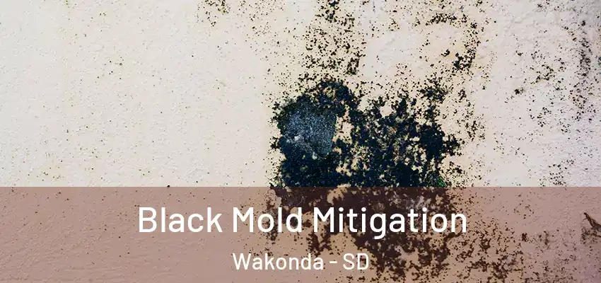Black Mold Mitigation Wakonda - SD