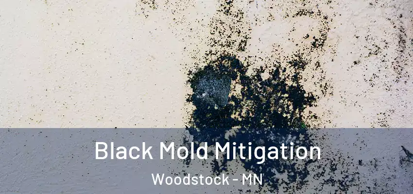  Black Mold Mitigation Woodstock - MN